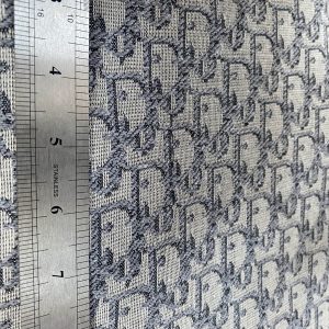 Gray Dior canvas fabric