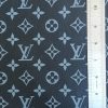 Louis Vuitton Leather Black